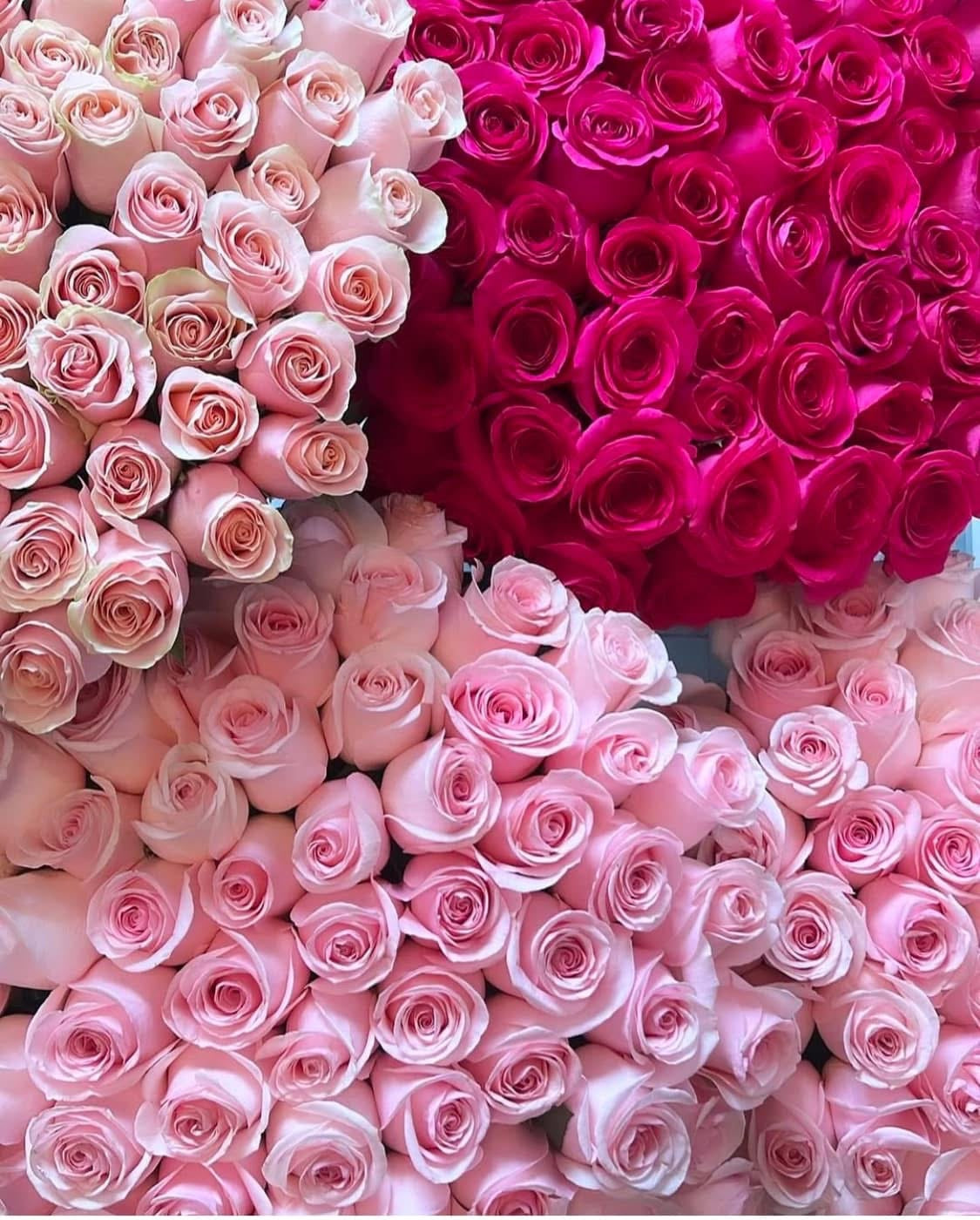 15 Percent off your purchase